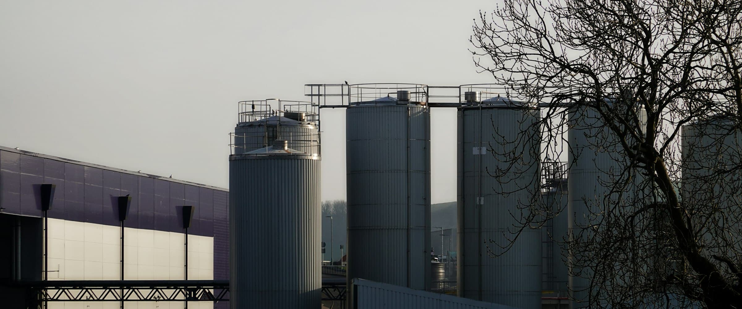 Industrial storage silos against a pale sky